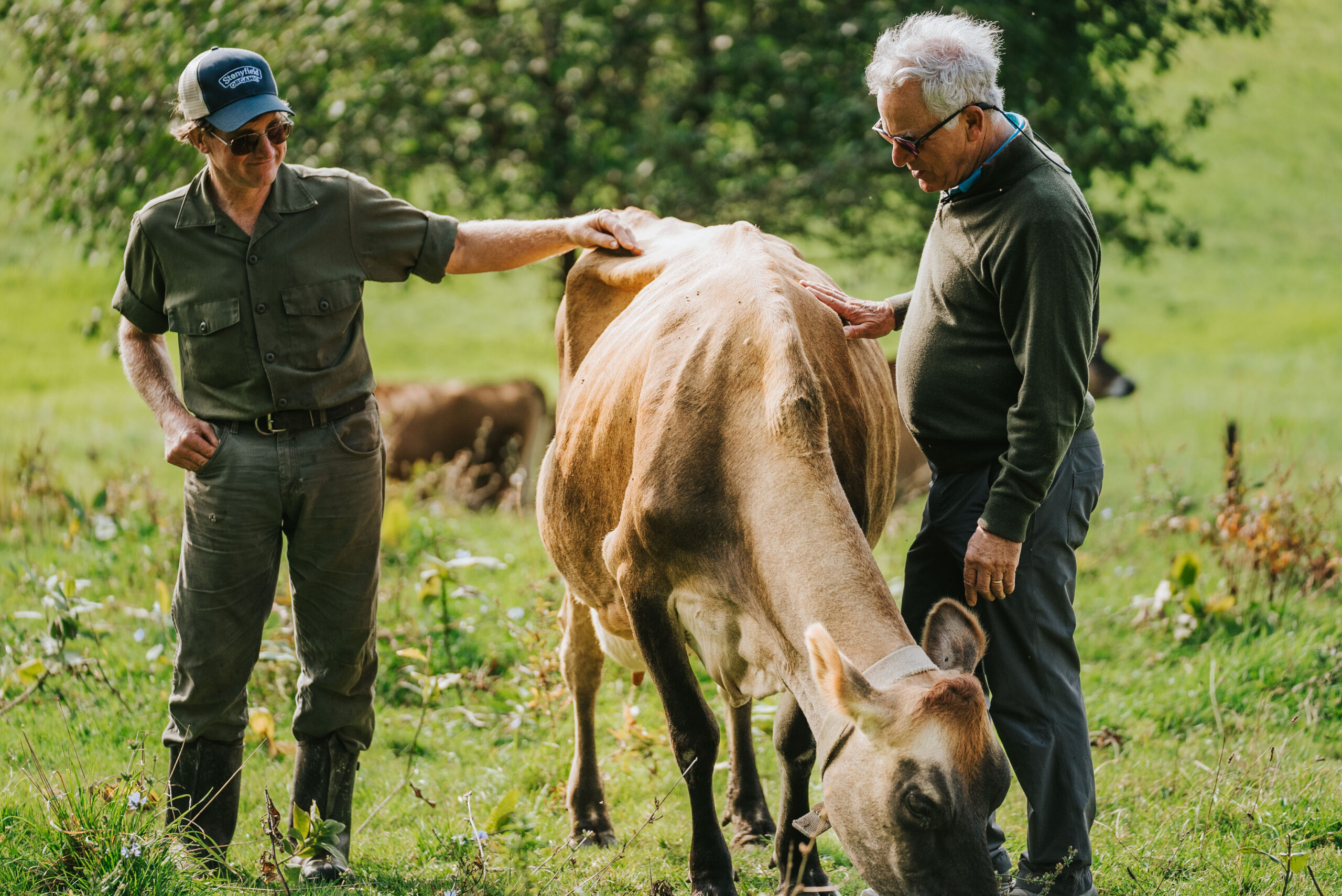 Stonyfield Organic | Organic Originals - Why Organic